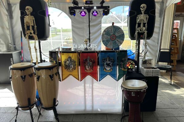 Harry Potter bday party