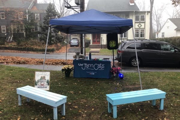 Party with canopy-tablecloth-benches small