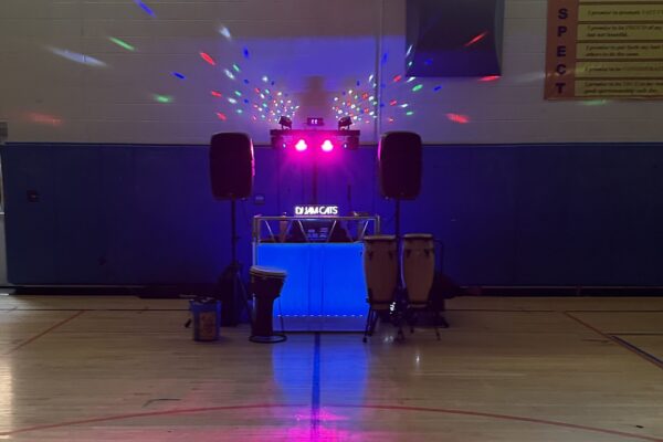 Wildwood School party small